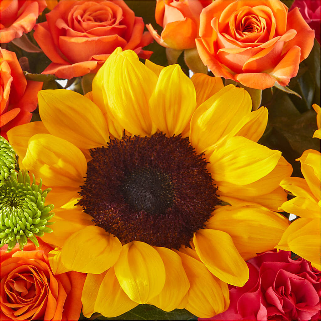 Sun-drenched Blooms Box Bouquet – ENCHANTED FLORIST & GREENHOUSE LTD, Maspeth NY