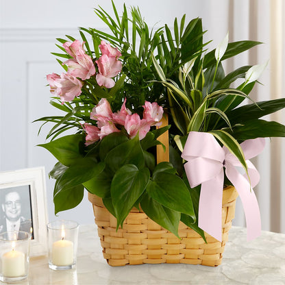 Living Spirit Dishgarden – ENCHANTED FLORIST & GREENHOUSE LTD, Maspeth NY