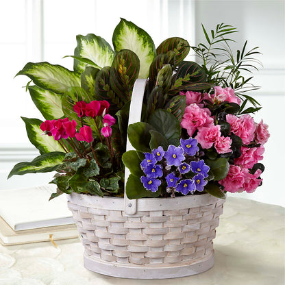 Peaceful Garden Planter – ENCHANTED FLORIST & GREENHOUSE LTD, Maspeth NY