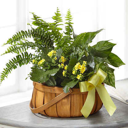 Always Dear Dishgarden – ENCHANTED FLORIST & GREENHOUSE LTD, Maspeth NY