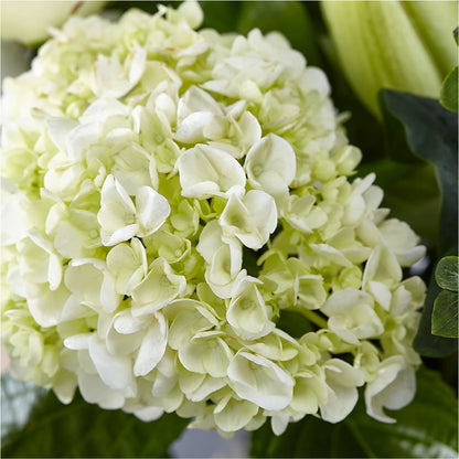 Classic Ivory – A Florist Original – ENCHANTED FLORIST & GREENHOUSE LTD, Maspeth NY