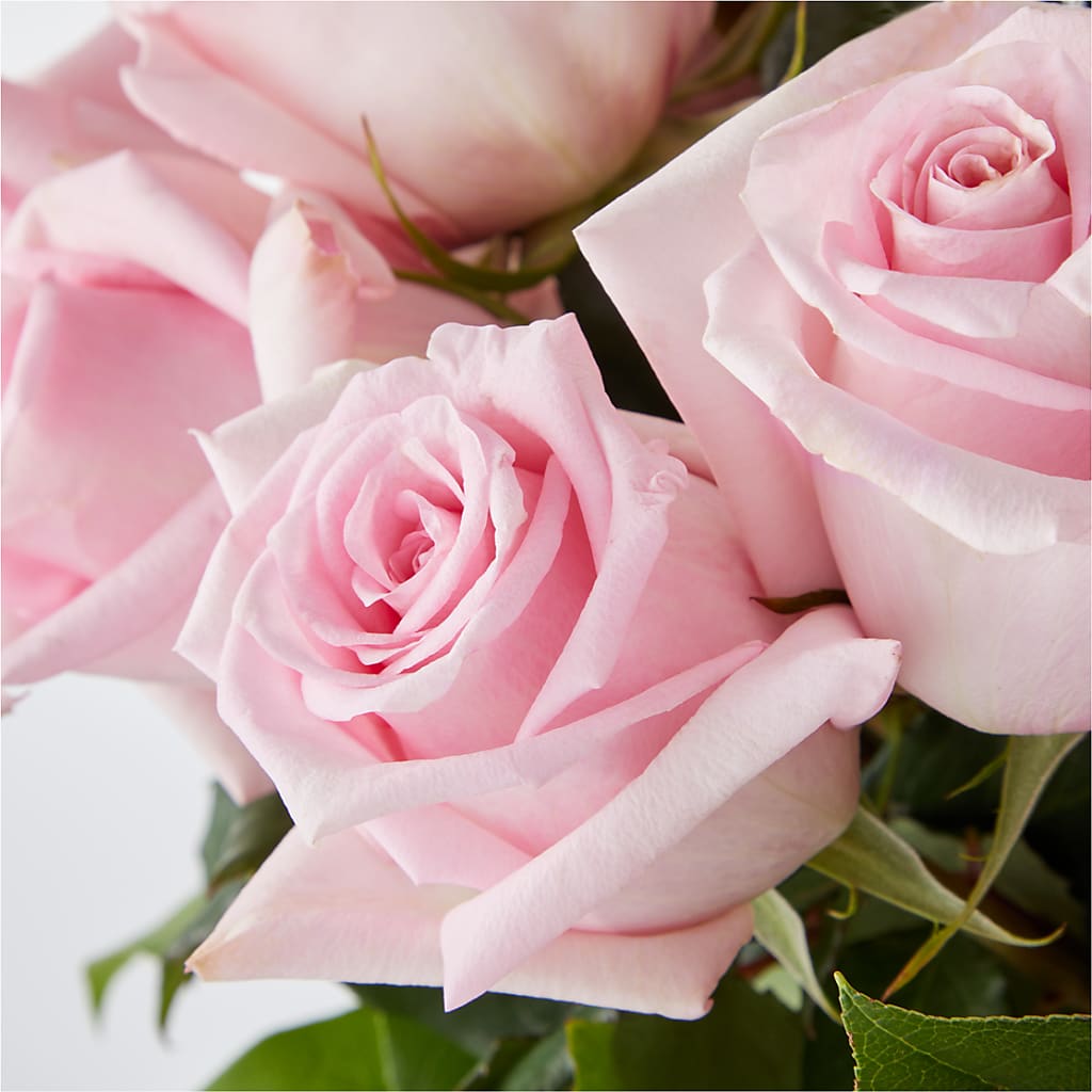 Picture Perfect Pink Rose Bouquet – ENCHANTED FLORIST & GREENHOUSE LTD, Maspeth NY