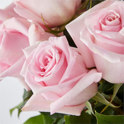 Picture Perfect Pink Rose Bouquet – ENCHANTED FLORIST & GREENHOUSE LTD, Maspeth NY