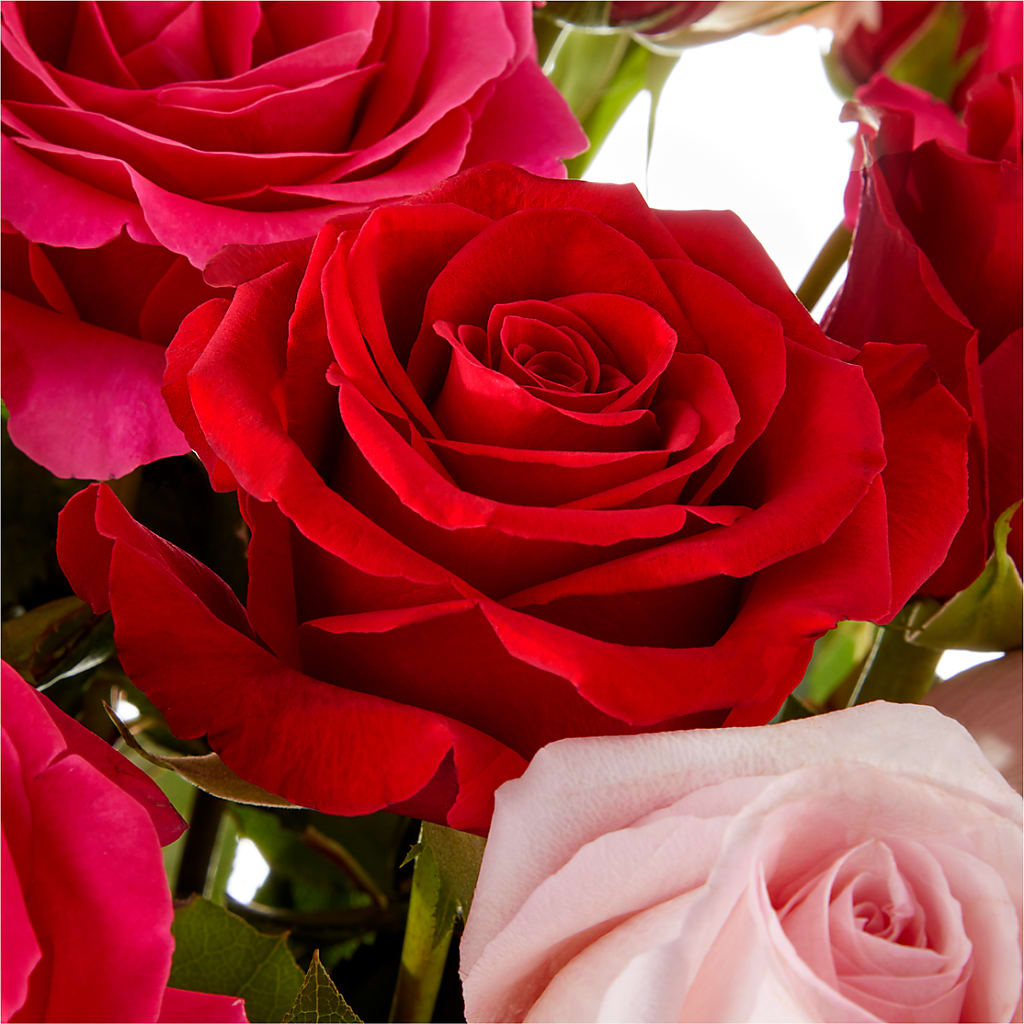 Love Notes Rose Bouquet – ENCHANTED FLORIST & GREENHOUSE LTD, Maspeth NY