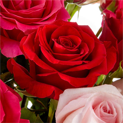 Love Notes Rose Bouquet – ENCHANTED FLORIST & GREENHOUSE LTD, Maspeth NY