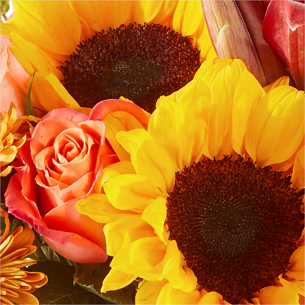 Acorn Lane Bouquet – ENCHANTED FLORIST & GREENHOUSE LTD, Maspeth NY