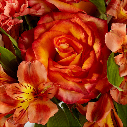 Apricot Glow Bouquet – ENCHANTED FLORIST & GREENHOUSE LTD, Maspeth NY