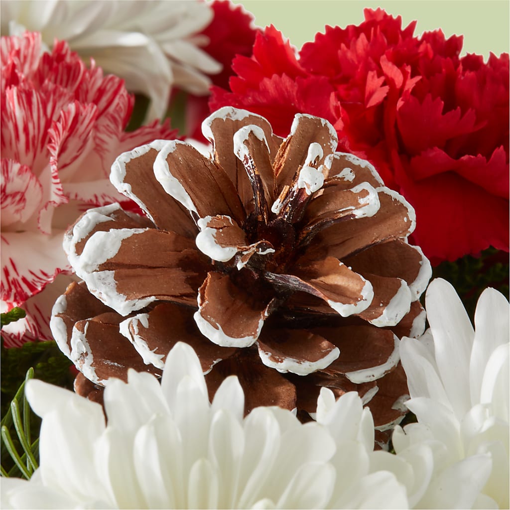 Candy Cane Lane Bouquet – ENCHANTED FLORIST & GREENHOUSE LTD, Maspeth NY
