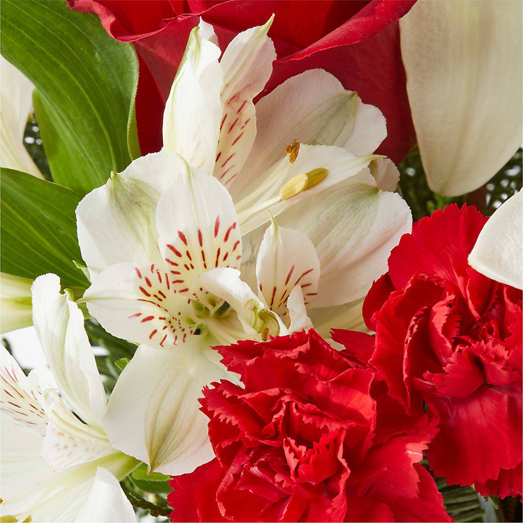 Holiday Season Bouquet – ENCHANTED FLORIST & GREENHOUSE LTD, Maspeth NY