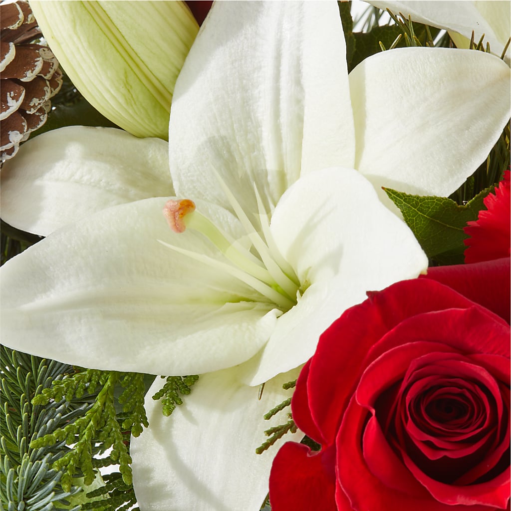 Oh So Jolly Bouquet – ENCHANTED FLORIST & GREENHOUSE LTD, Maspeth NY