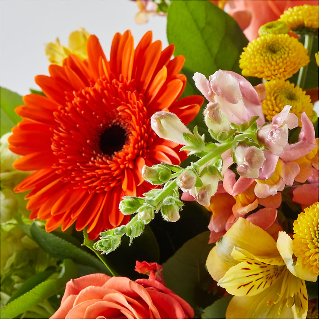 Autumn Sunshine Bouquet – ENCHANTED FLORIST & GREENHOUSE LTD, Maspeth NY