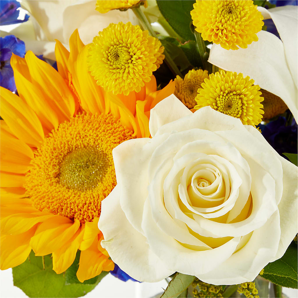 Stargazing Bouquet – ENCHANTED FLORIST & GREENHOUSE LTD, Maspeth NY