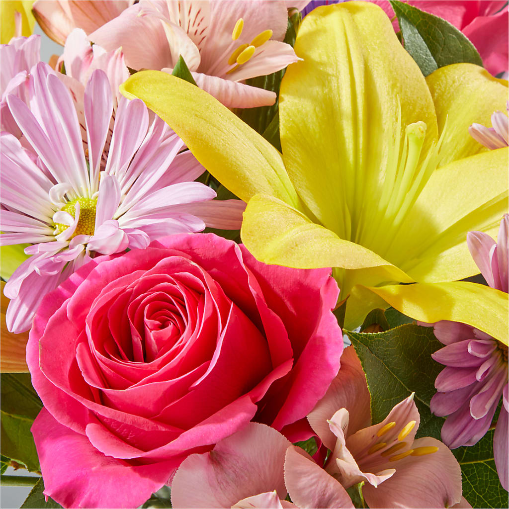 Sprinkles Bouquet – ENCHANTED FLORIST & GREENHOUSE LTD, Maspeth NY