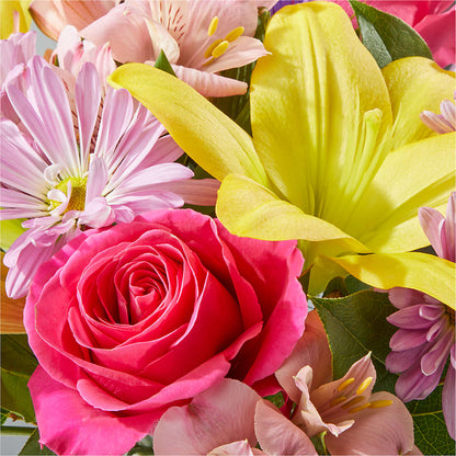 Sprinkles Bouquet – ENCHANTED FLORIST & GREENHOUSE LTD, Maspeth NY