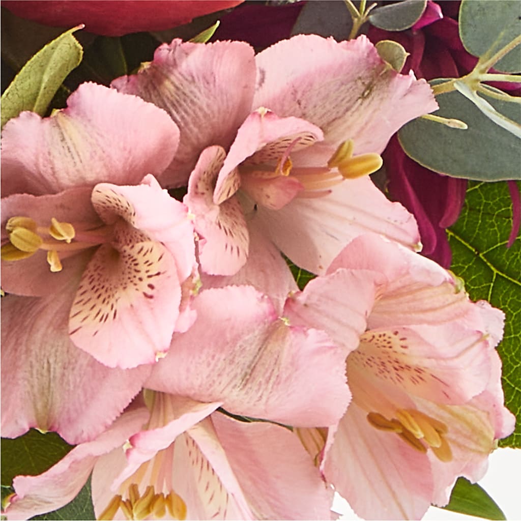 Berry Cobbler Bouquet – ENCHANTED FLORIST & GREENHOUSE LTD, Maspeth NY