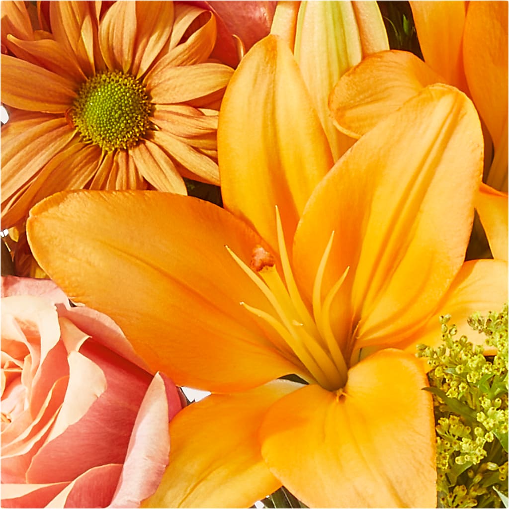 Harvest Hayride Bouquet – ENCHANTED FLORIST & GREENHOUSE LTD, Maspeth NY