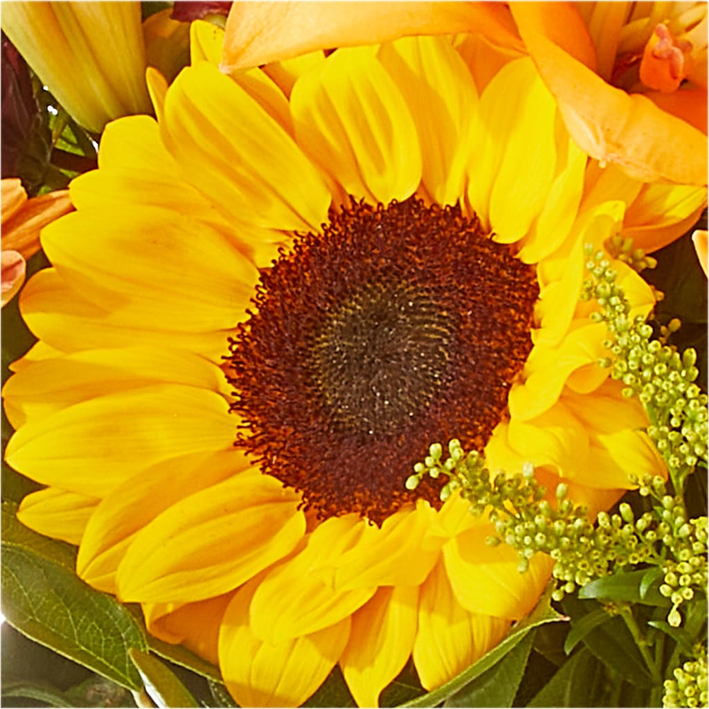 Seasons Change Bouquet – ENCHANTED FLORIST & GREENHOUSE LTD, Maspeth NY