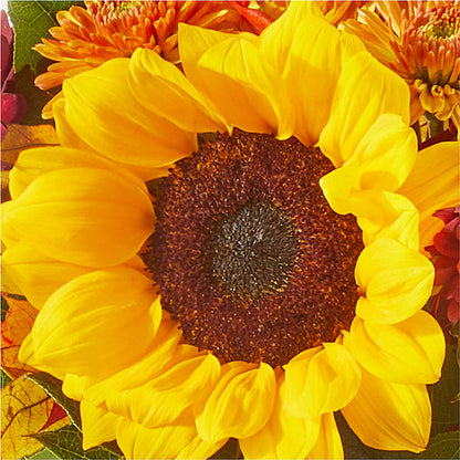 Sunny Side Bouquet – ENCHANTED FLORIST & GREENHOUSE LTD, Maspeth NY