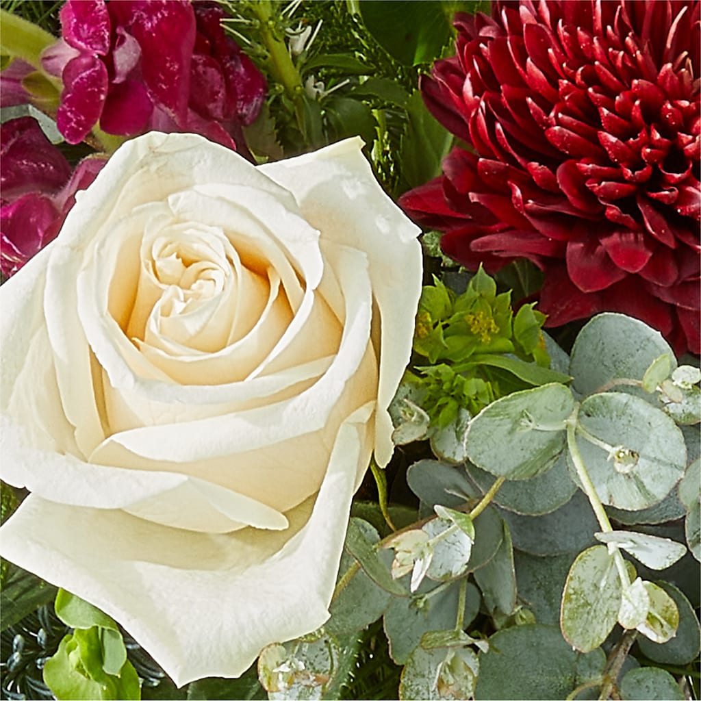 Cranberry Fizz Bouquet – ENCHANTED FLORIST & GREENHOUSE LTD, Maspeth NY