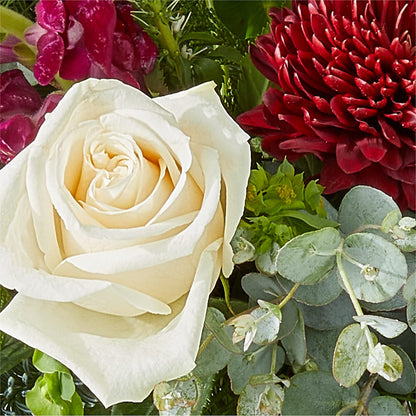 Cranberry Fizz Bouquet – ENCHANTED FLORIST & GREENHOUSE LTD, Maspeth NY