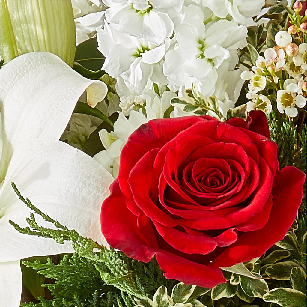 Twinkle Lights Bouquet – ENCHANTED FLORIST & GREENHOUSE LTD, Maspeth NY