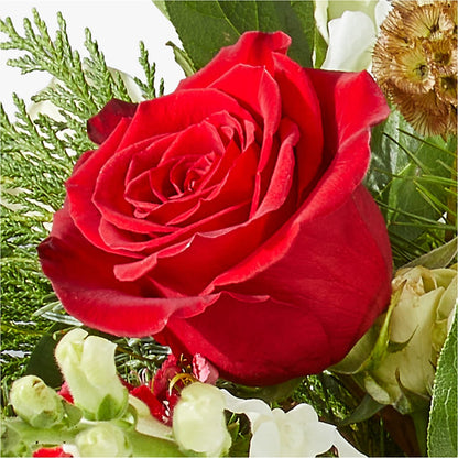 Deck the Halls Bouquet – ENCHANTED FLORIST & GREENHOUSE LTD, Maspeth NY