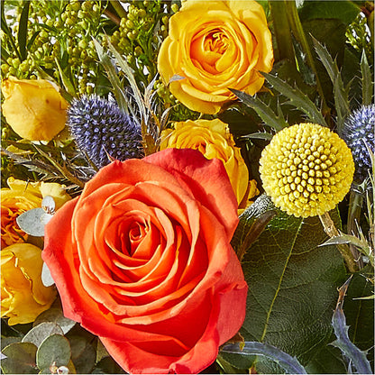 Disco Bouquet – ENCHANTED FLORIST & GREENHOUSE LTD, Maspeth NY