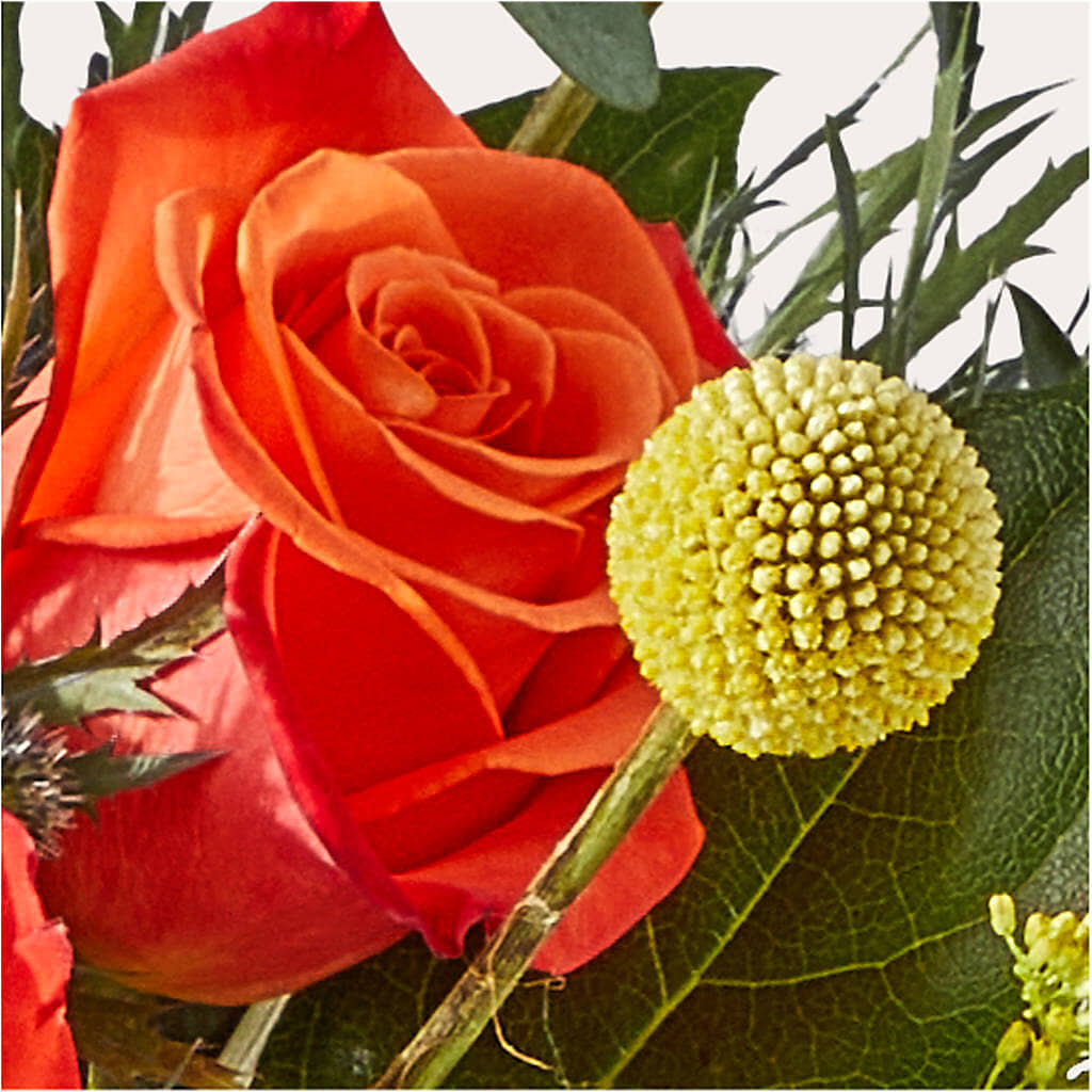 Disco Bouquet – ENCHANTED FLORIST & GREENHOUSE LTD, Maspeth NY