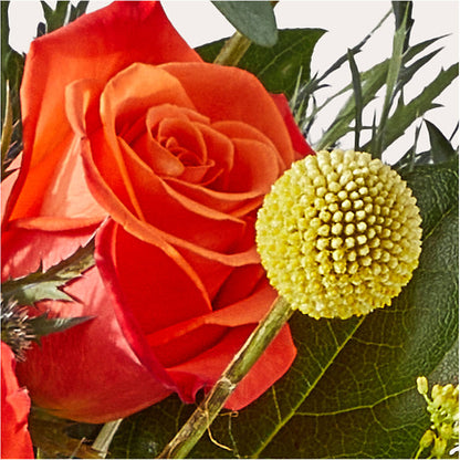 Disco Bouquet – ENCHANTED FLORIST & GREENHOUSE LTD, Maspeth NY