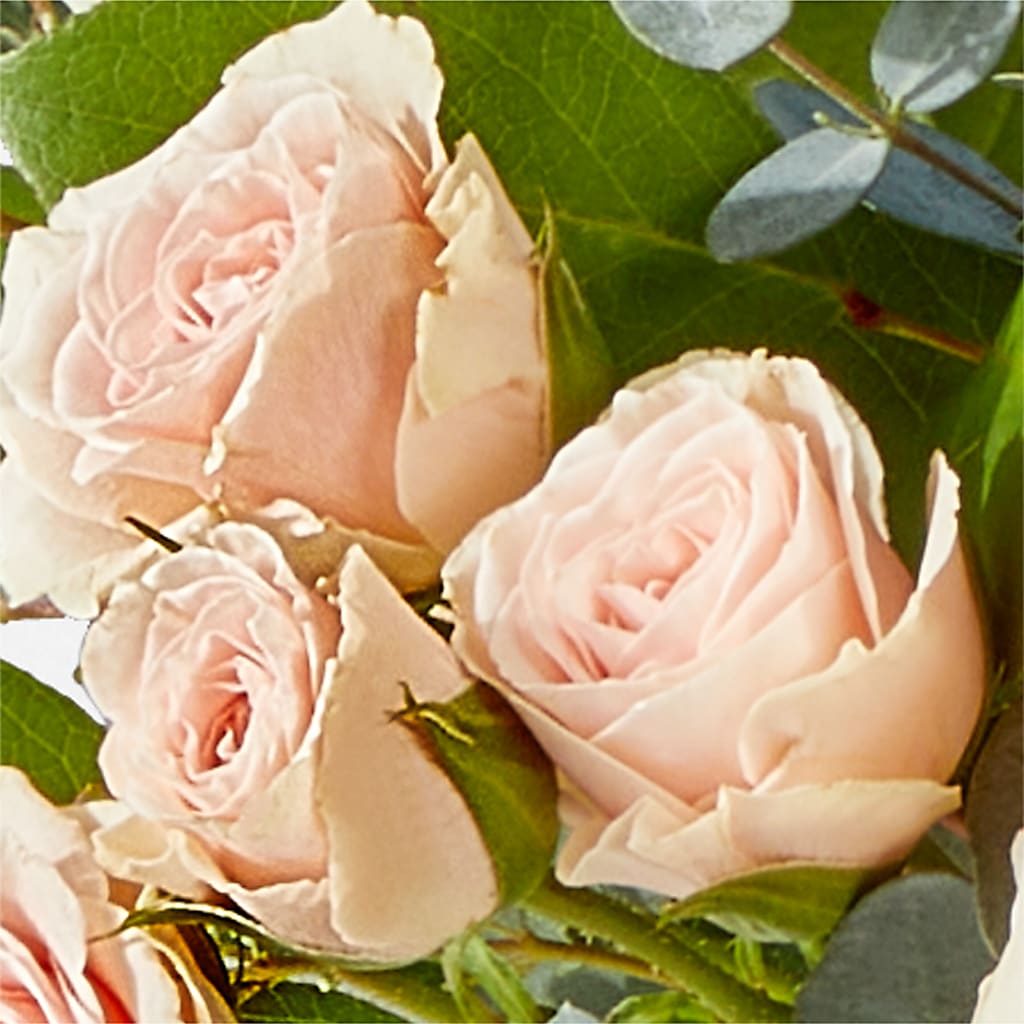 Inspired Bouquet – ENCHANTED FLORIST & GREENHOUSE LTD, Maspeth NY