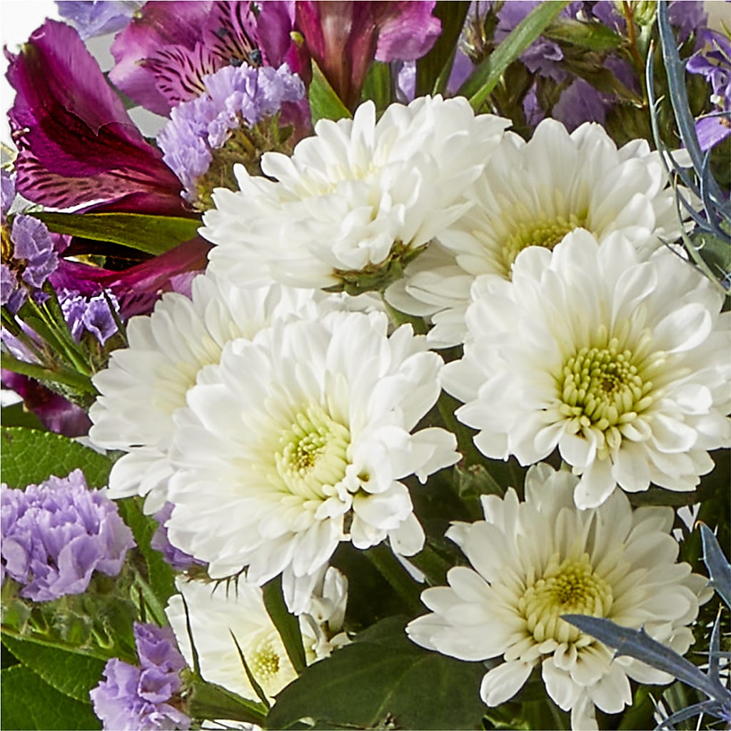 Shooting Star Bouquet – ENCHANTED FLORIST & GREENHOUSE LTD, Maspeth NY