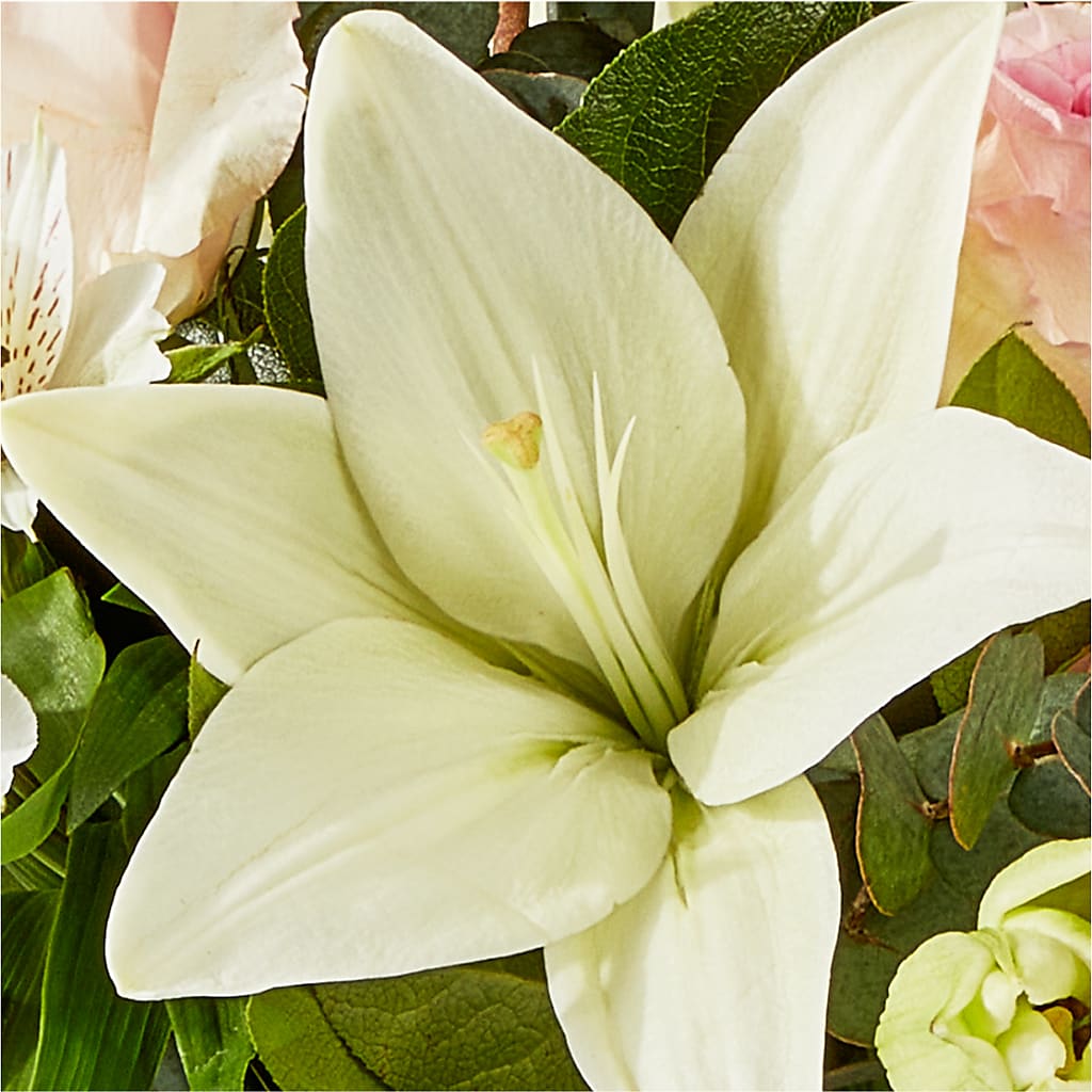 Ballet Slippers Bouquet – ENCHANTED FLORIST & GREENHOUSE LTD, Maspeth NY