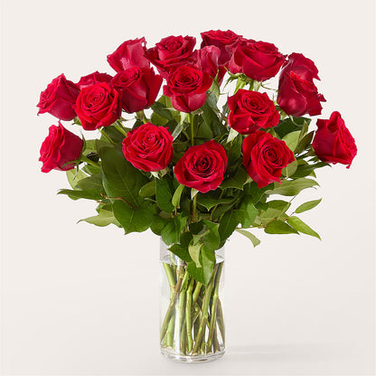 The One Red Rose Bouquet – ENCHANTED FLORIST & GREENHOUSE LTD, Maspeth NY