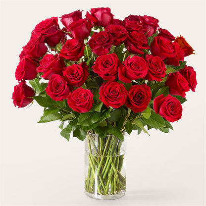 The One Red Rose Bouquet – ENCHANTED FLORIST & GREENHOUSE LTD, Maspeth NY