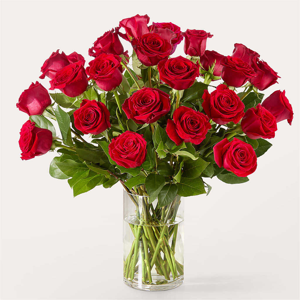 The One Red Rose Bouquet – ENCHANTED FLORIST & GREENHOUSE LTD, Maspeth NY