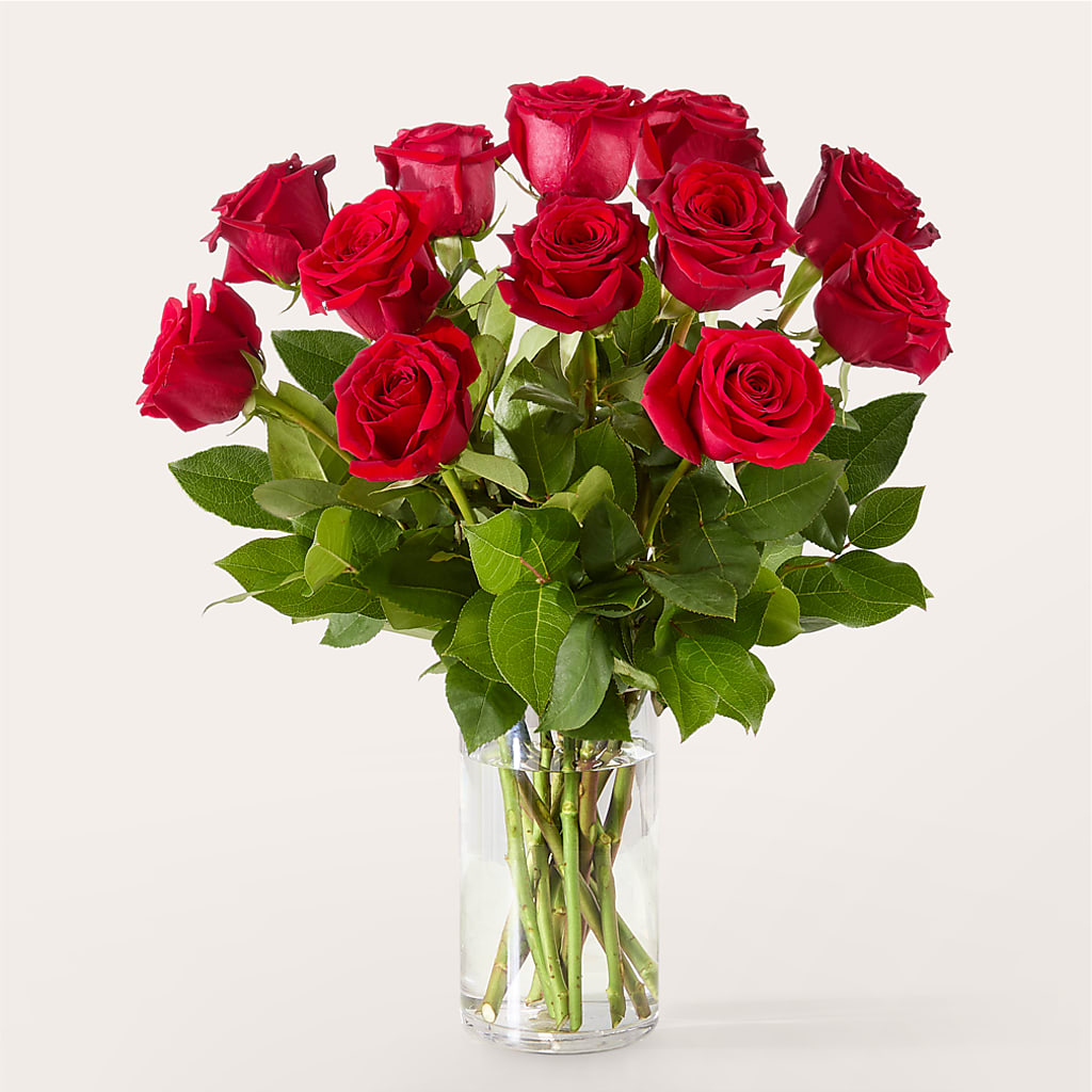 The One Red Rose Bouquet – ENCHANTED FLORIST & GREENHOUSE LTD, Maspeth NY