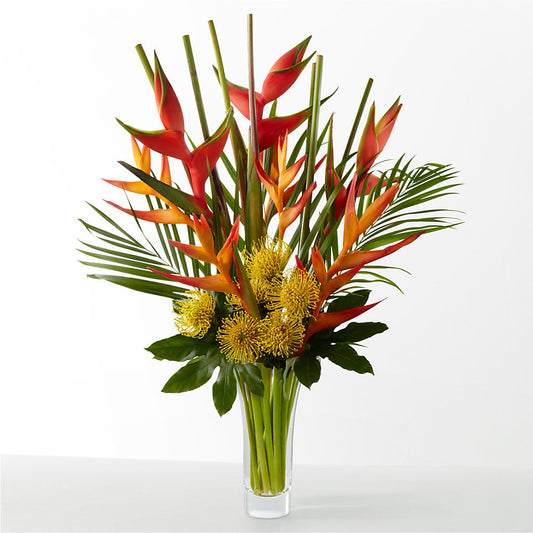 The Drama – ENCHANTED FLORIST & GREENHOUSE LTD, Maspeth NY