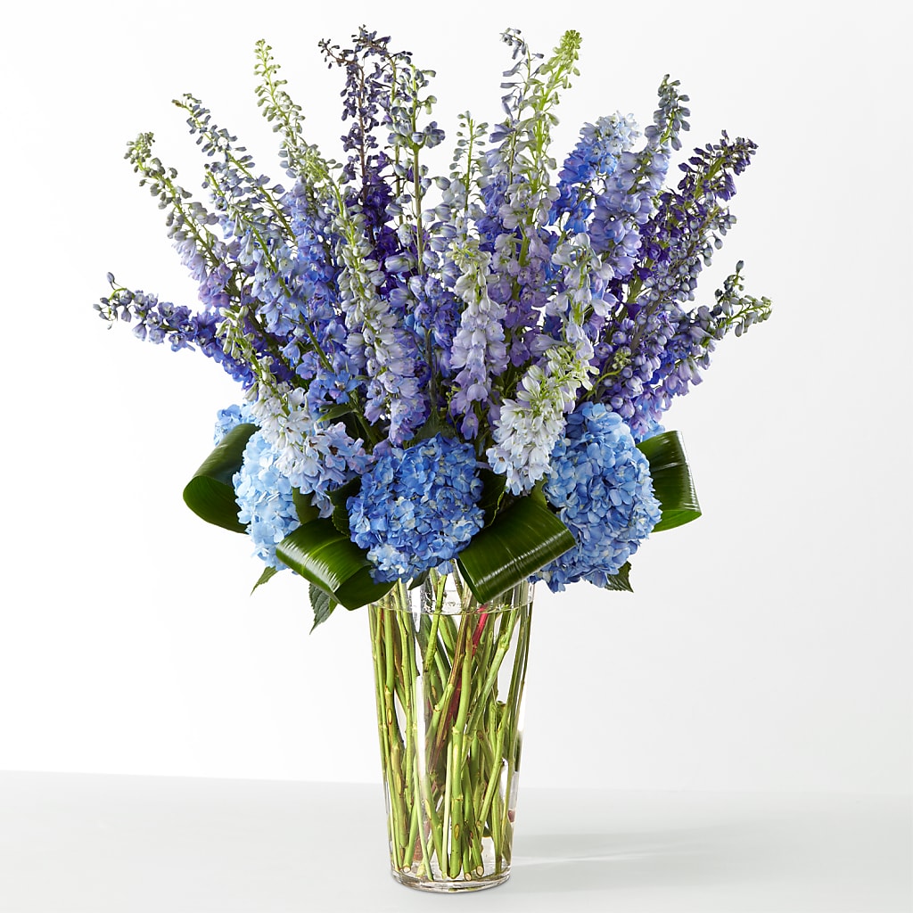 The Editorial – ENCHANTED FLORIST & GREENHOUSE LTD, Maspeth NY