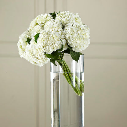 White Hydrangea Hand-Tied Bouquet – ENCHANTED FLORIST & GREENHOUSE LTD, Maspeth NY