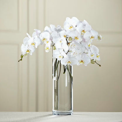 White Phalaenopsis Bouquet – ENCHANTED FLORIST & GREENHOUSE LTD, Maspeth NY