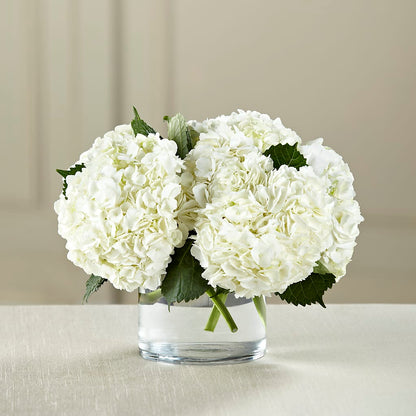White Hydrangea Bouquet – ENCHANTED FLORIST & GREENHOUSE LTD, Maspeth NY