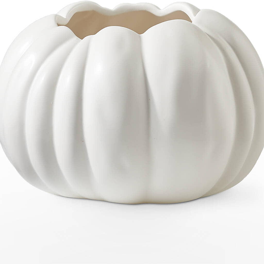 Autumn Air Pumpkin Bouquet – ENCHANTED FLORIST & GREENHOUSE LTD, Maspeth NY